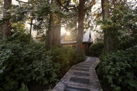 Rainforest cottage