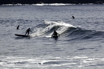 Tofino surfing