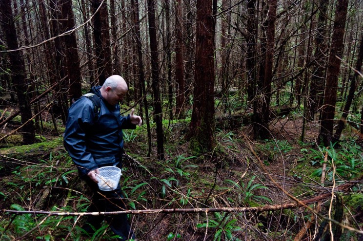 Chef Ian Riddick foraging in Tofino rainforest