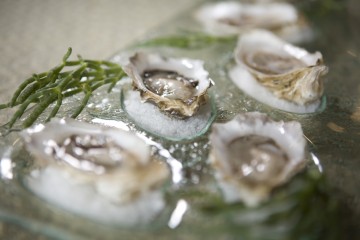 Clayoquot oysters