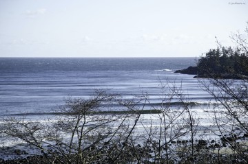 Tofino resort