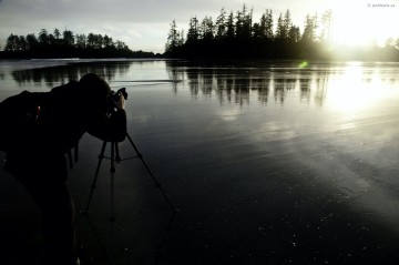 Tofino resort