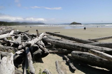 Tofino Pacific Rim National Park 