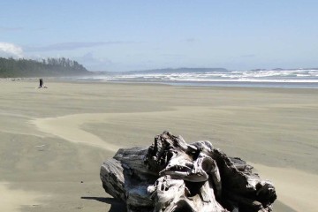 Pacific Rim National Park Tofino