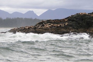 Pacific Rim National Park