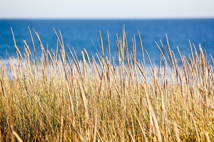 Pacific Rim National Park