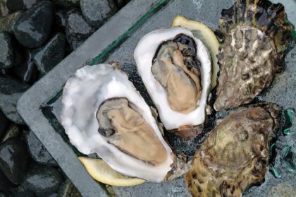 Ocean Wise oysters
