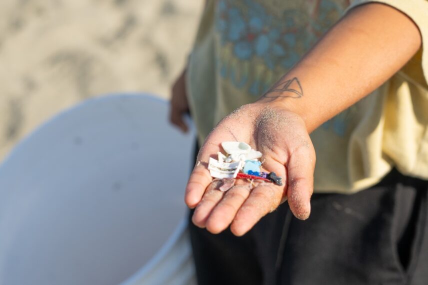 Person holding pieces of plastic collected during a beach cleanup.