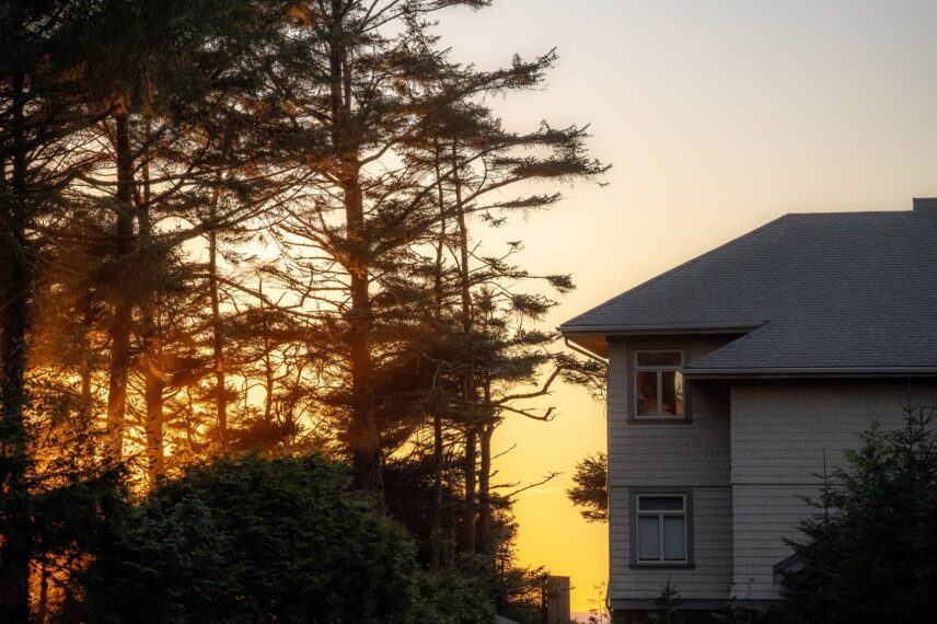 Sunrise through the trees at Cox Bay, Tofino